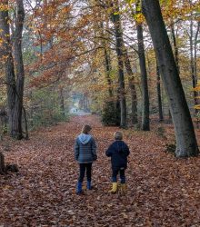 PXL_20251109_141642710